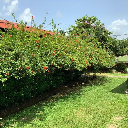 فندق Casona Tica Linda Sarapiquí المظهر الخارجي الصورة